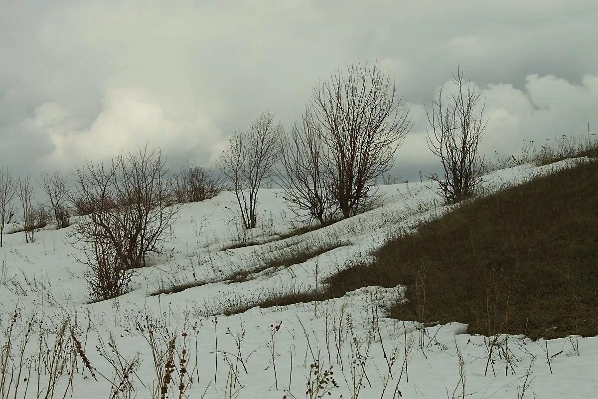 Рассвет ранней весной. Пасмурный пейзаж. Пасмурный апрель. Пасмурный апрель. Пасмурно весной.