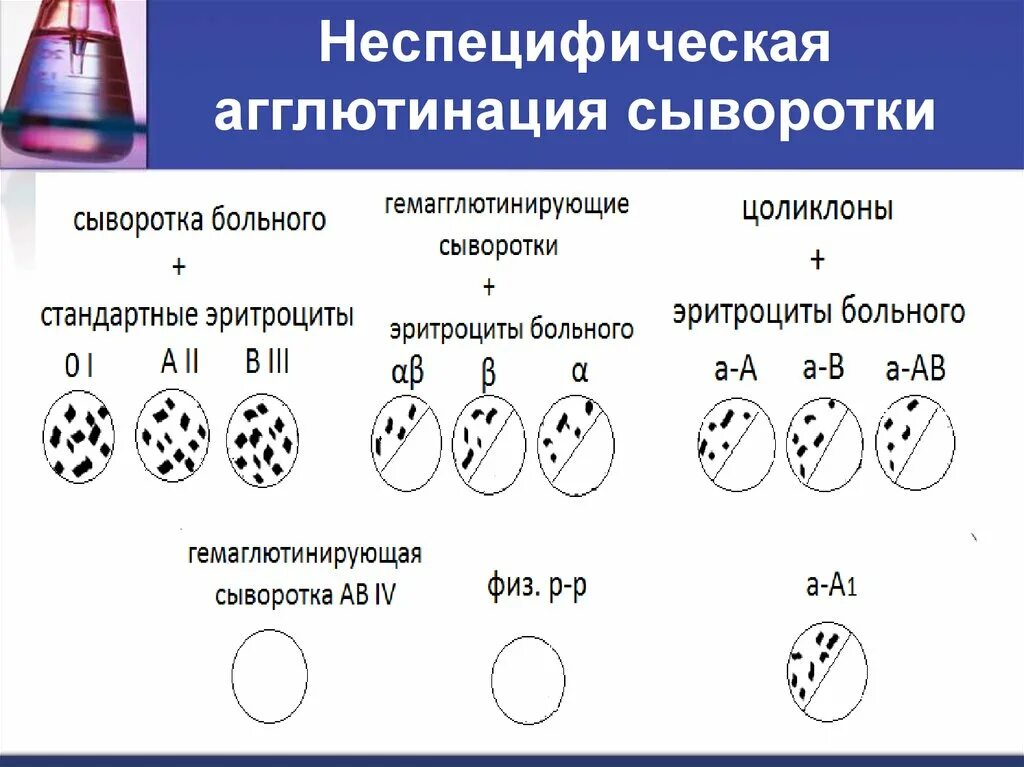 Реакция агглютинации эритроцитов. Неспецифическая агглютинация. Специфическая агглютинация это. Специфическая и неспецифическая агглютинация. Неспецифическая агглютинация крови.