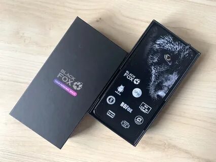 Black fox 2