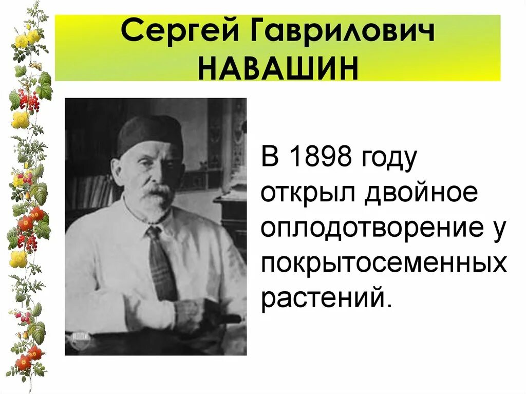 Двойное оплодотворение у растений открыл. Навашин 1898.