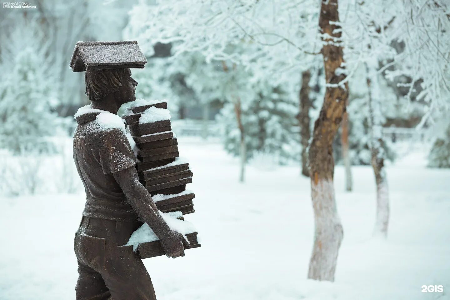 «рождество и красный кардинал». топ зимних книг. марк хелприн - зимняя сказка (1983). книга зимняя сказка марк хелприн. флэгг ф.