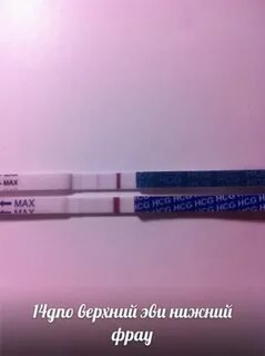 Тест на 14 день
