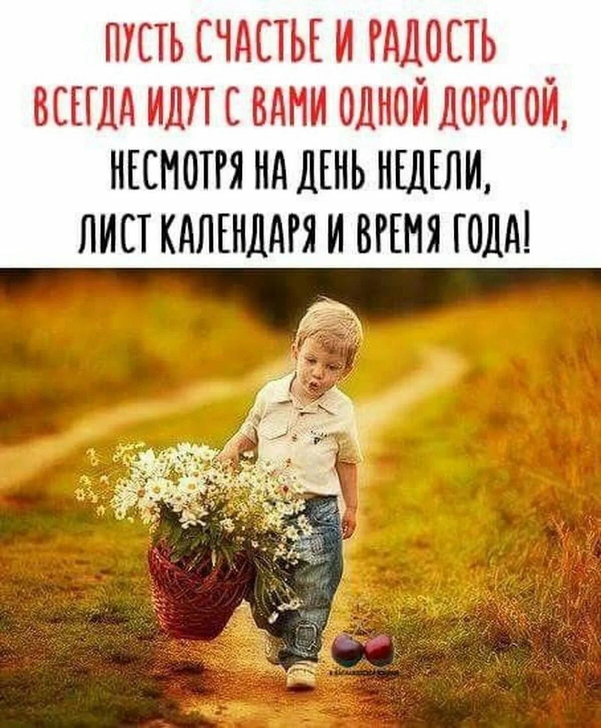 Дети и природа. Счастье солнце. Просыпаемся и радуемся новому дню. Живи и радуйся утру. Девочка с васильками.