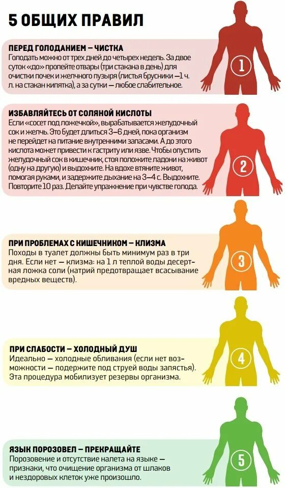 За какое время очищается. Как правильно голодать. Голодание. Лечебное голодание. Правильное голодание.