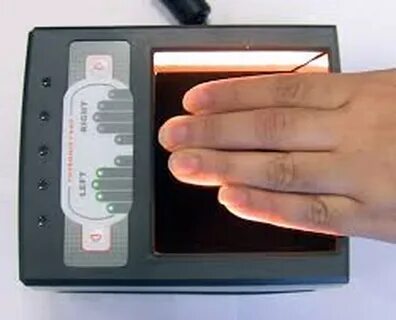 Fingerprint identification