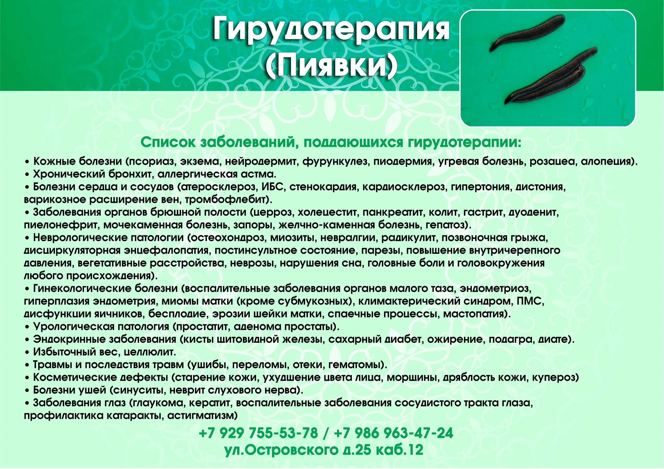 Содержание пиявок