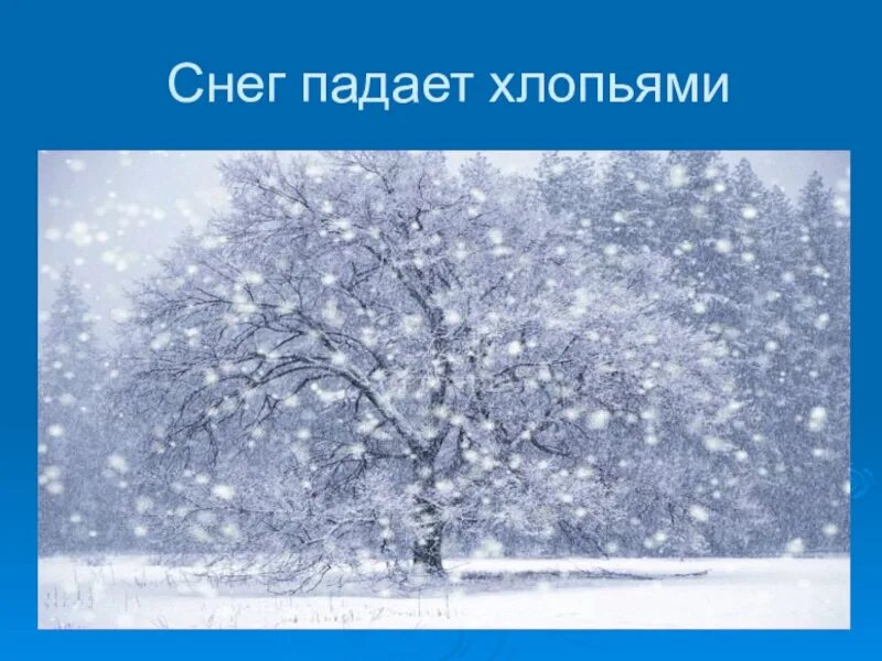 На землю падает хлопьями снег. Зимние явления для детей. Явления природы зимой. Зимние явления природы для детей. Иллюстрации зимние явления в природе.