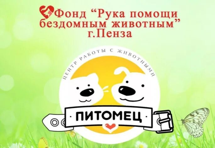 Рука помощи еврейский благотворительный. Фонд рука помощи пенза. Благотворительный фонд в пензе доклад. Фонд рука помощи. Фонд рука помощи пенза.