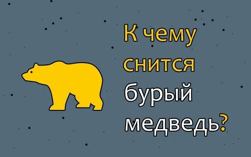 Сонник медведь к чему снится женщине. К чему снится медведь. Приснился медведь к чему. Медведь во сне к чему снится. Снится медведь женщине.