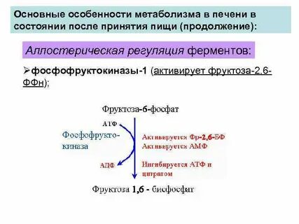 Роль аллостерических ферментов