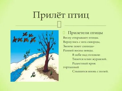 Экологическая тропа весной