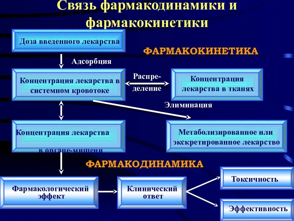 Фармакодинамика лекарственных препаратов. Взаимосвязь фармакокинетики и фармакодинамики. фармакокинетика и фармакодинамика. взаимосвязь между фармакокинетикой и фармакодинамикой. фармакокинетика лекарственных веществ.