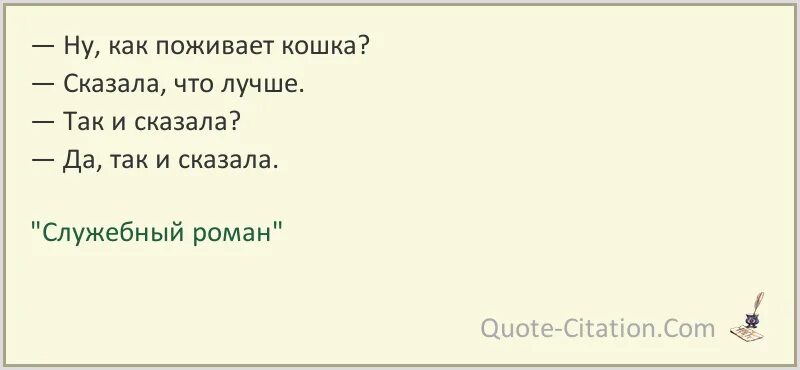 Как поживаете. Поживаешь как пишется правильно. как поживаешь, кошка?. афоризмы как поживаете. служебный роман кошка.