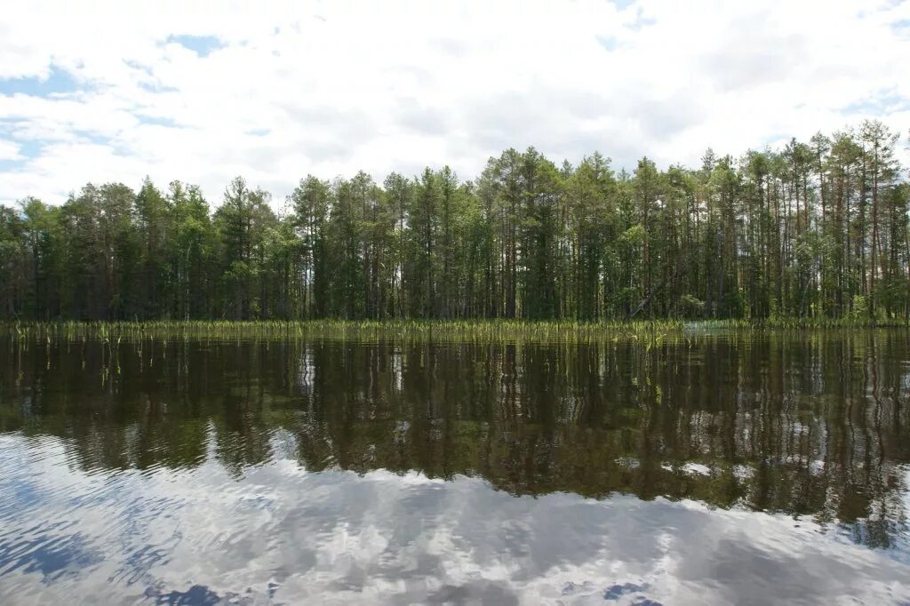 Большой томск. Светлое озеро Колпашево. Озеро светлое Томская область. Светлое озеро 2 Колпашево. Первое светлое озеро Колпашево.