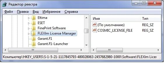 Start fail ошибка. Папка вывода компилятора. FLEXLM. FLEXLM И зачем он. FLEXLM Daemon is installed.