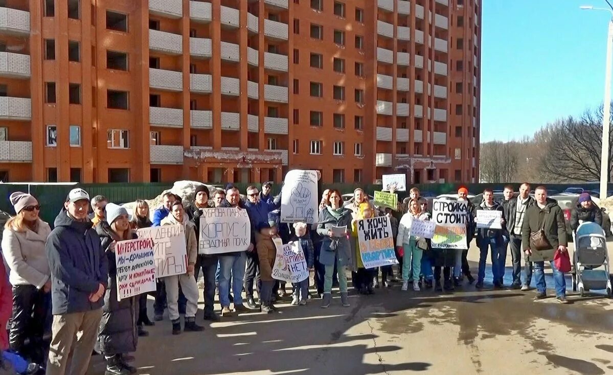 Дольщики Дуброва парк-2. Обманутые дольщики. Обманутый дольщик в квартире. Обманутые дольщики недострой. Последние новости обманутый дольщик