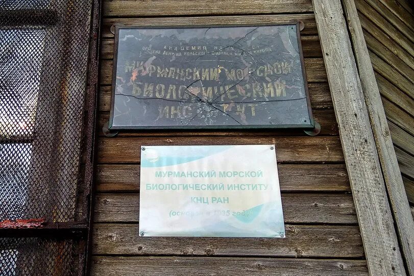 Мурманский биологический институт. Мурманский биологический институт. Ммби ран мурманск. Мурманский морской биологический институт лого. Горный институт кольского научного центра ран.