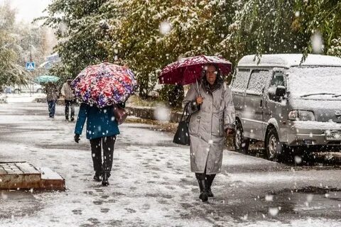 Согласно прогнозу погоды завтра будет снег