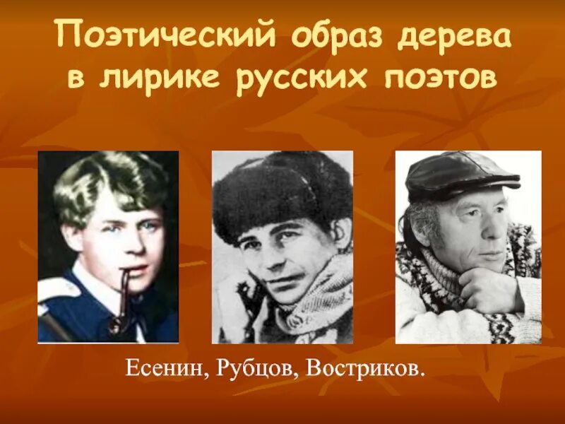 Поэтический образ. Поэтические образы. Рубцов и Есенин. Николай рубцов и Есенин. Есенин и рубцов коллаж.