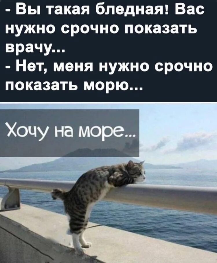 Не хочу на работу. Хочу на море прикол. Хочу на море. Когда очень хочется на море. Заберите меня с работы.