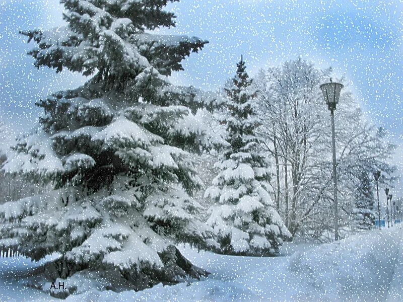 зима за окном. зимнее окно. зимняя природа. снег за окном. зимний пейзаж снегопад.