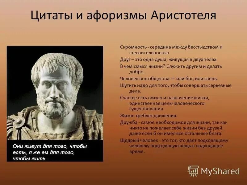 Человек мера всех вещей утверждал. Аристотель цитаты и афоризмы. Высказывания Аристотеля о философии. Философия афоризмы. Высказывание роститиля.