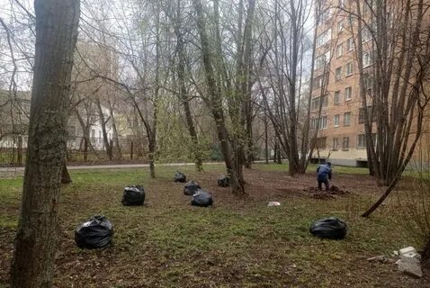 Жилищник головинский