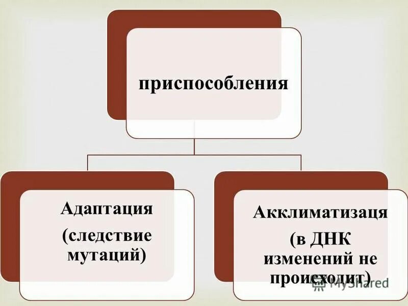 комбинативная адаптация. адаптация мутаций. сравнение модификационной и мутационной изменчивости таблица. механизм возникновения приспособлений. м.