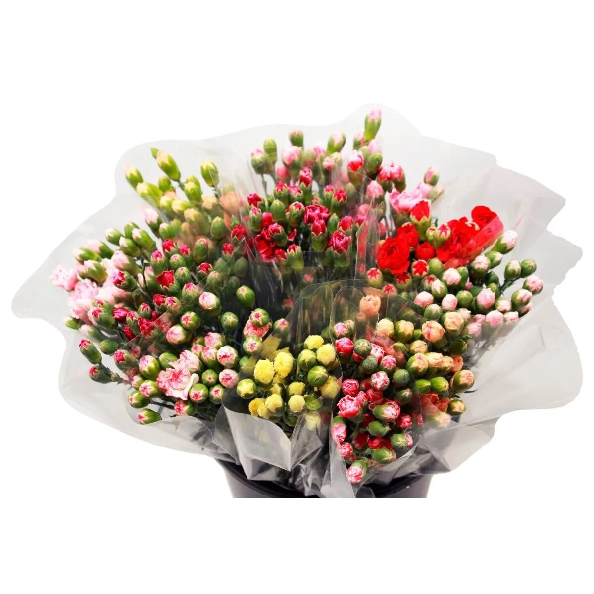 Диантус и розы букет. Букет кустовых гвоздик. Букет кустовых гвоздик. Букет с оранжевой кустовой розой. Букет из кустовой гвоздики.