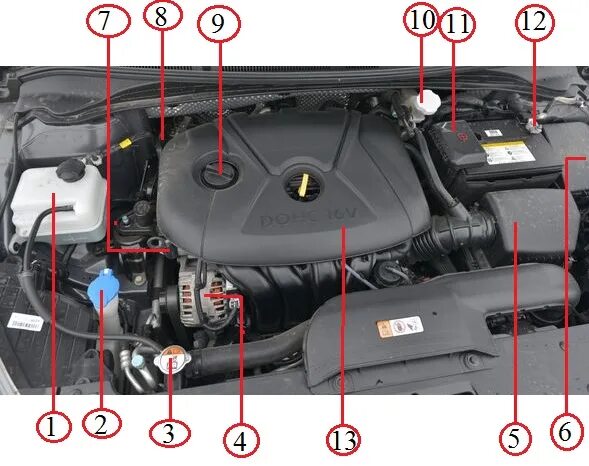 Под капотом Hyundai i40 1,6 и 2.0 л Поломки авто