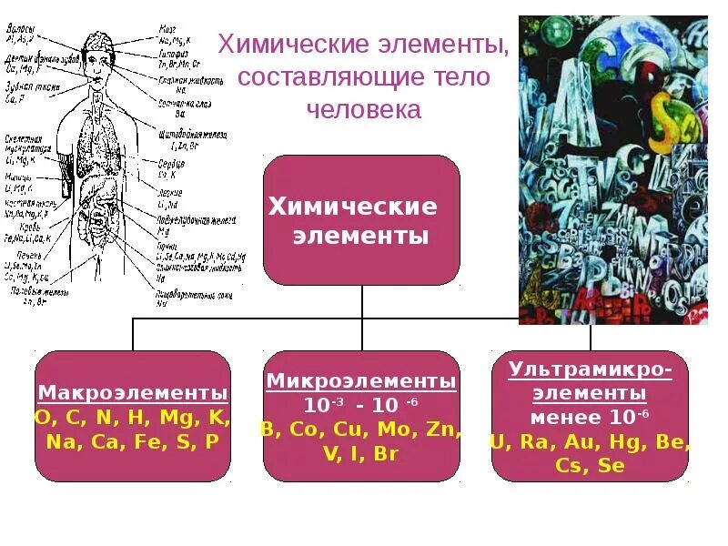 Человек состоит из 4 элементов. Химические элементы в организме человека. химические вещества в организме человека таблица. элементы в теле человека. химические элементы содержащиеся в организме человека.