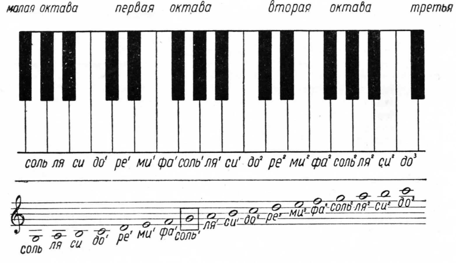 Открывает октава. Схема синтезатора 1 Октава. Малая Октава первая Октава вторая Октава третья Октава. Нотный стан для синтезатора для начинающих. Октавы фортепиано для сольфеджио.