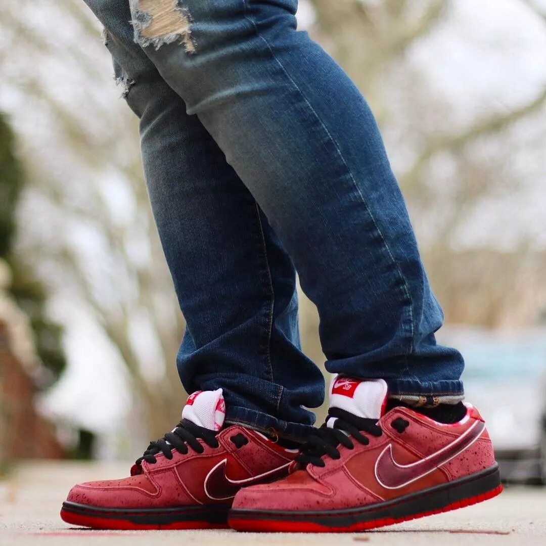 Найк лобстер. Nike SB Dunk Low Lobster. Nike SB Dunk Low Red Lobster. Nike SB Dunk Red Lobster. Nike SB Dunk Low Red.