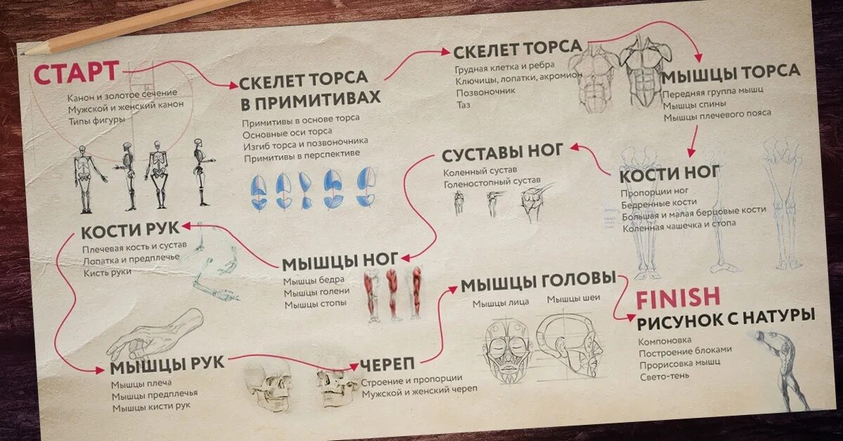 Карта курса обучения. Карта курса примеры. Карта курса инфографика. Карта курса обучение служением. Курс 10 недель