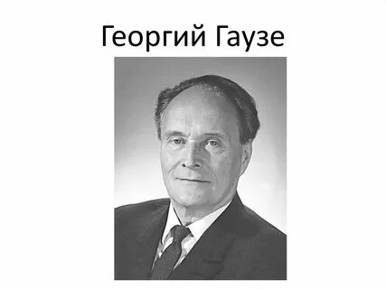 Отечественный ученый гаузе провел ряд экспериментов