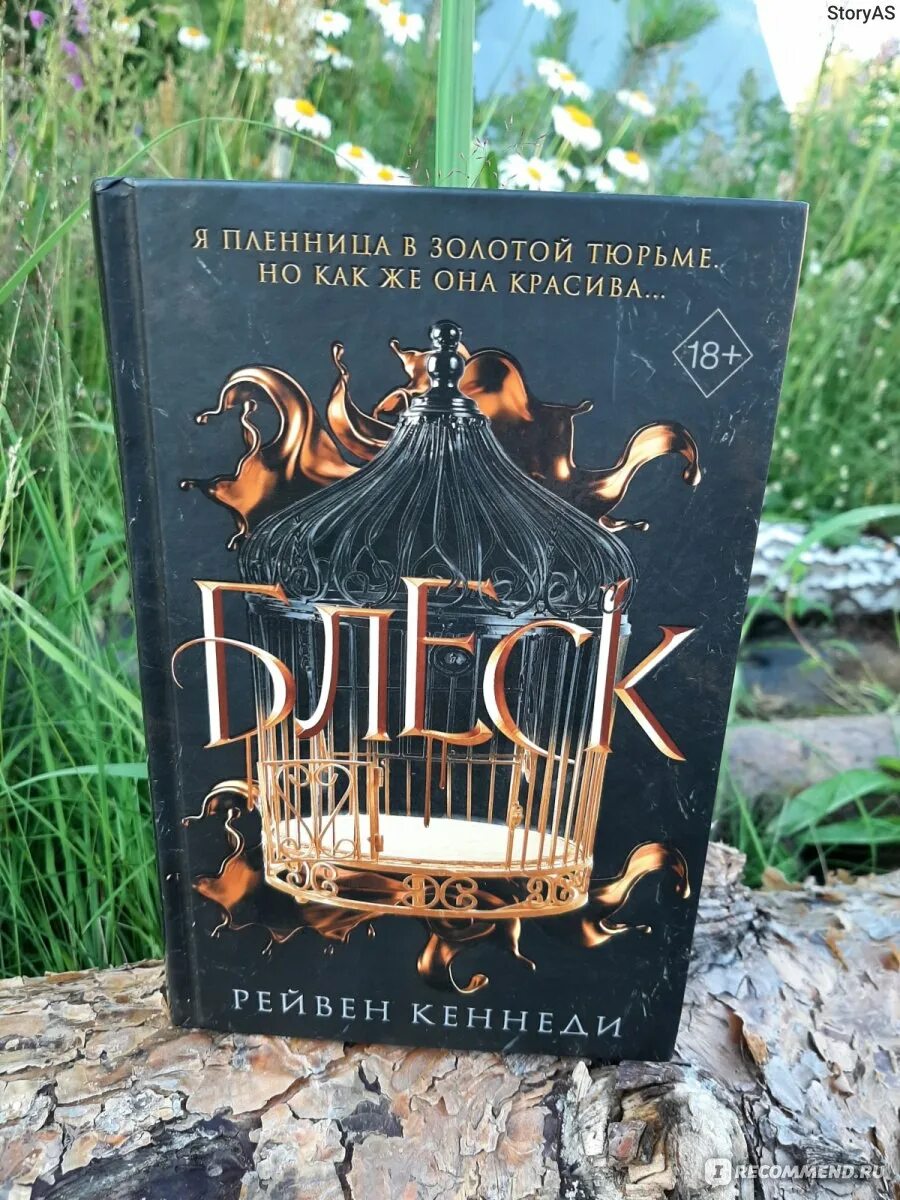 Блеск кеннеди. Блеск книга рейвен кеннеди. Блеск кеннеди. Рейвен кеннеди gleam. Блеск книга.