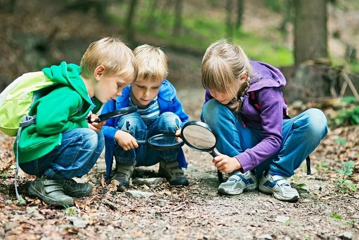 Любопытство 3. Дети и природа. Экскурсия на природу. Дошкольники на прогулке. Школьники на природе.