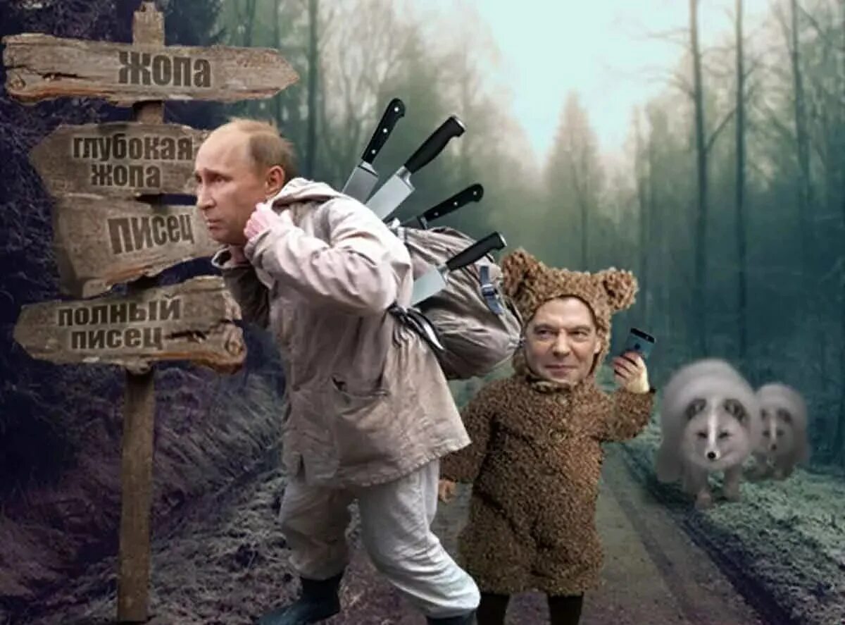 Медведев пародии. Жаба фото. Фотожаба на Путина. Прикольные фотожабы.