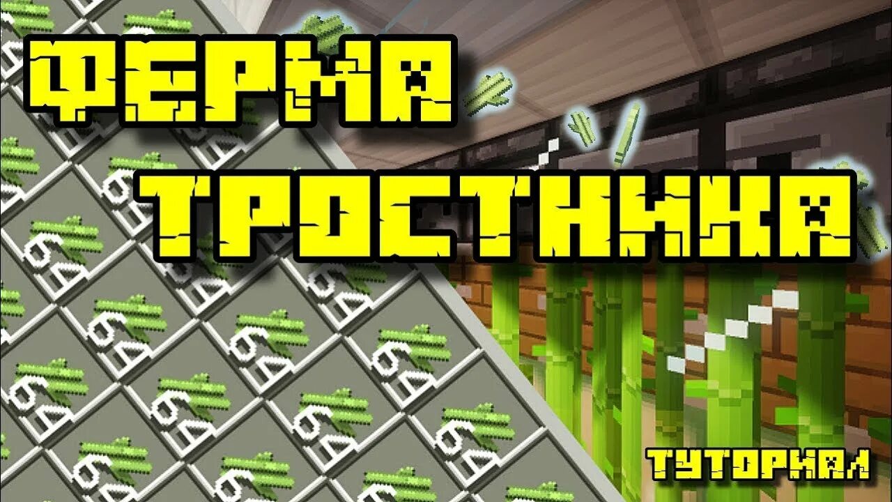 АФК ферма тростника. Автоматическая ферма тростника 1.19. Ферма авто тростника 1 12 2. Ферма тростника 1.16.5. Бесконечная ферма тростника