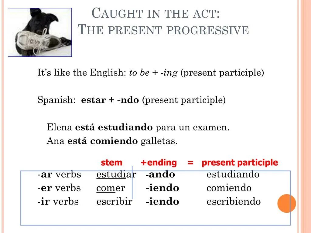 Participle ing form. Catch present simple. Catch present perfect. Present participle Clause.