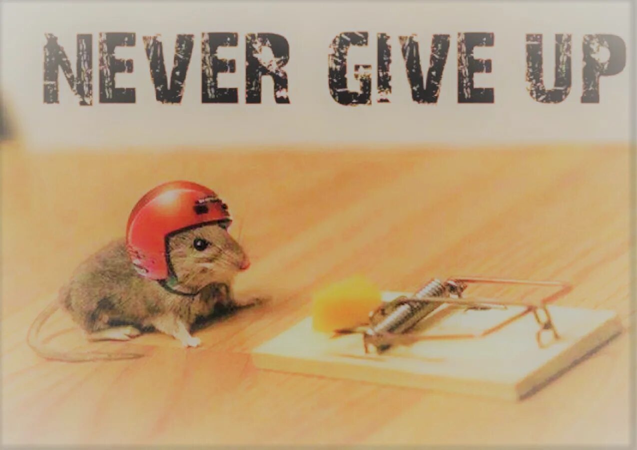 Never was picture. Never was picture