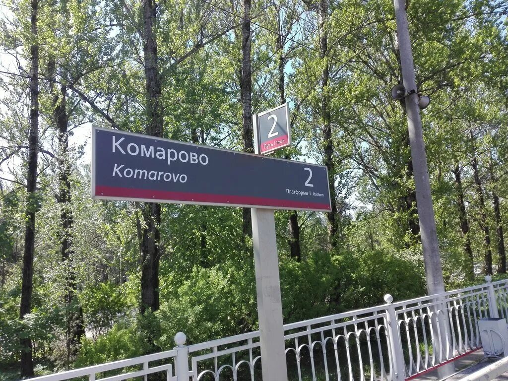 Однодневное путешествие в Репино и Комарово