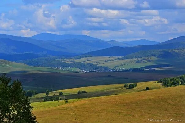 Алтайский край предгорье. Равнинный Алтай предгорья Кавказа. Село Алтайское предгорье. Алазанская Долина гора предгорье равнина.