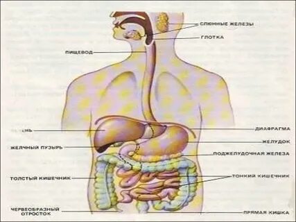 Сақтаушымен жыныстық қатынас