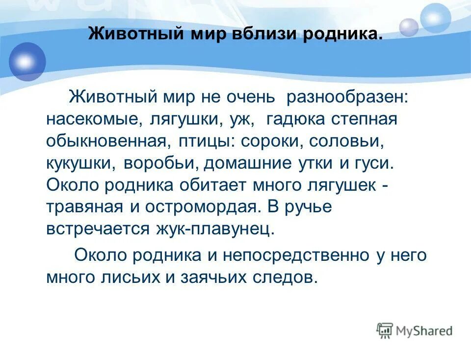 Польза родников. Родник животный. Значение родника для человека. Звери у родника. Животные у родника к проекту.