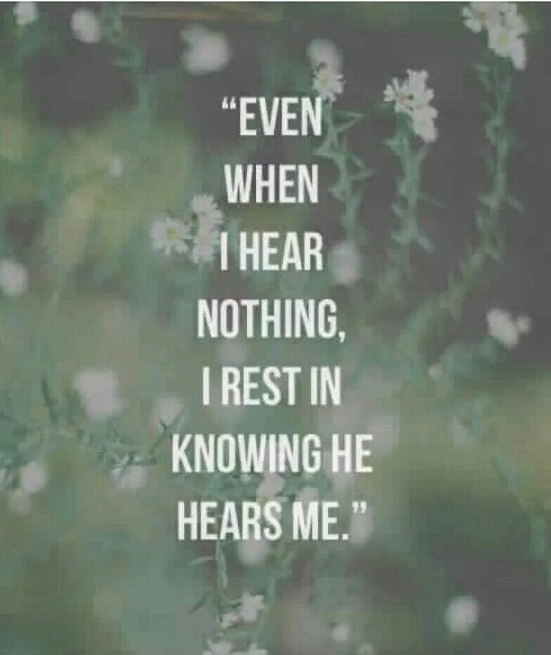 Nothing even. Nothing hear.