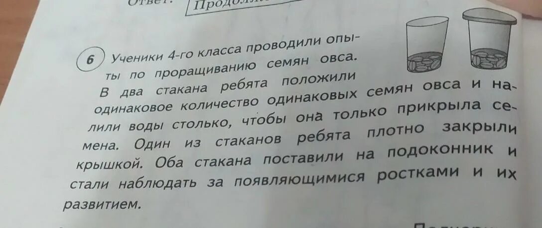 Опыт на скорость прорастания семян. Ученики проводили опыты проращивания семян. Влияние воздуха на прорастание семян. Эксперимент прорастания семян в двух стаканах. Опыт по проращиванию семян.