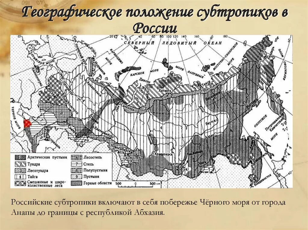 Природные зоны и биологические ресурсы россии