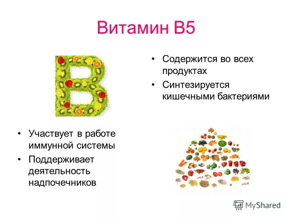 Витамин в4 в каких продуктах. Витамины группы б5. Действие витамина в5. Витамин в5 содержится. Витамин b5 содержится.