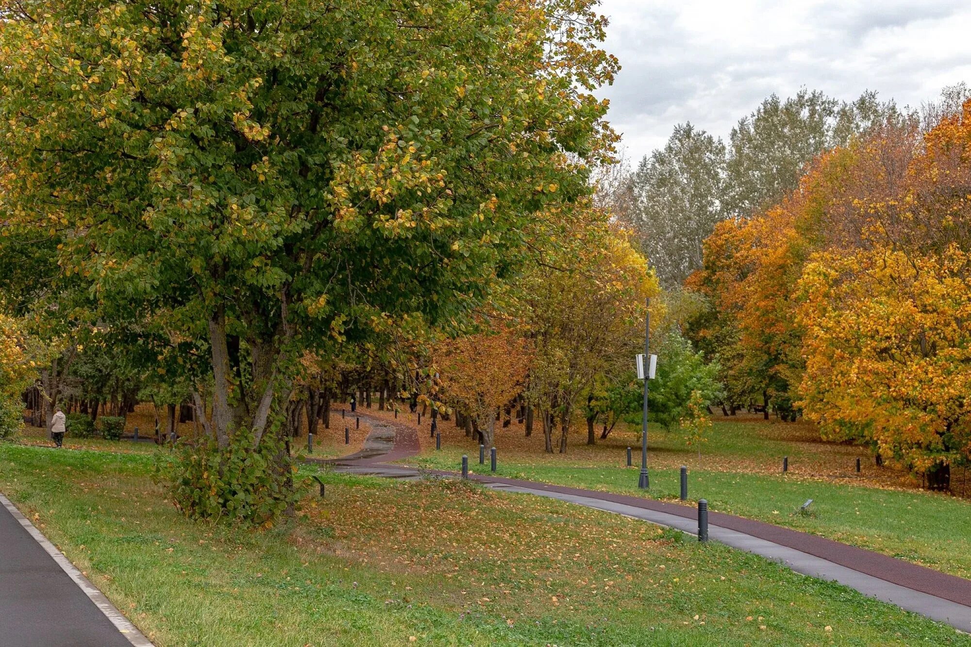 Дендропарк в пушкино омск. Дендрологический парк ильины старый оскол. Гензе. Парк бирюлевский дендропарк. Секвойя сочи дендрарий.